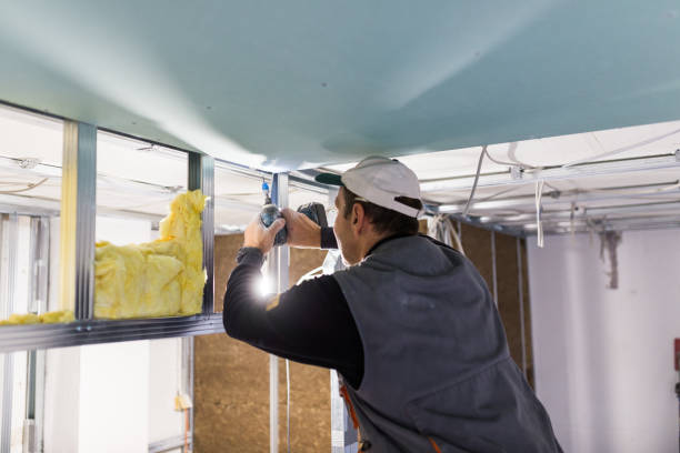 Best Eco-Friendly Insulation in Kenmore, WA