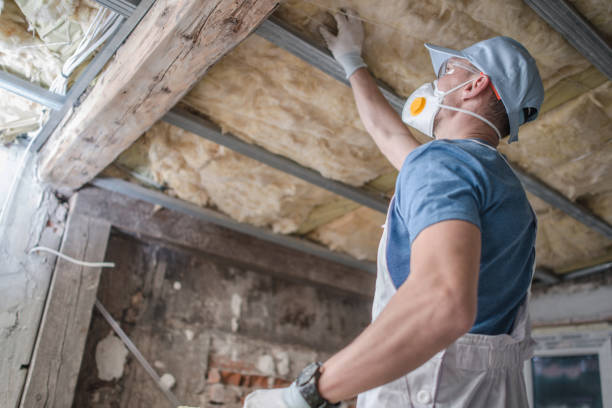 Best Specialized Insulation Services in Kenmore, WA